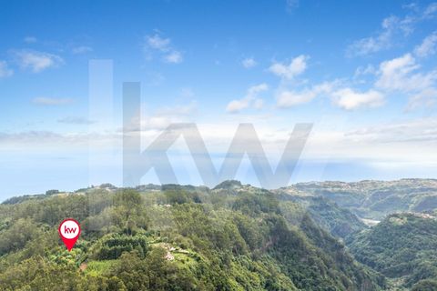 Helårsgrund i Santana, Madeira, Santana - € 220.000 | Ref: KWPT-035039 - foto 40