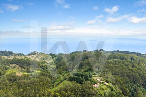 Helårsgrund i Santana, Madeira, Santana - € 220.000 | Ref: KWPT-035039 - foto 41