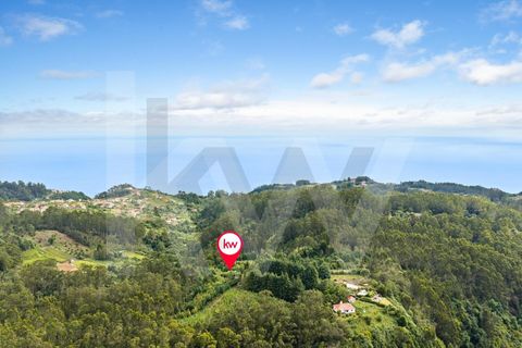 Helårsgrund i Santana, Madeira, Santana - € 220.000 | Ref: KWPT-035039 - foto 42