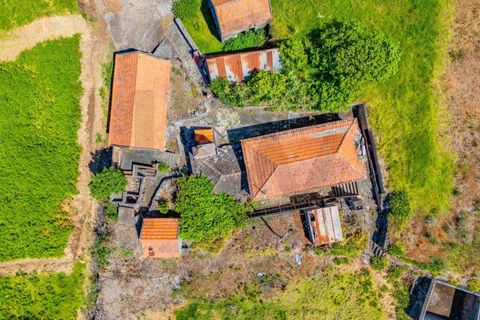 Landejendom i Calheta, Madeira, Calheta - € 385.000 | Ref: KWPT-035108 - foto 35