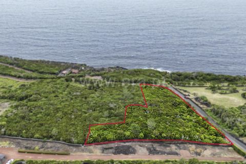 Tomt i Sao Roque do Pico, Pico, Sao Roque do Pico - € 100 000 | Ref: 374260147 - foto 2