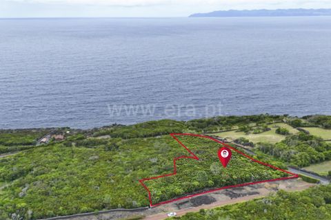 Tomt i Sao Roque do Pico, Pico, Sao Roque do Pico - € 100 000 | Ref: 374260147 - foto 4