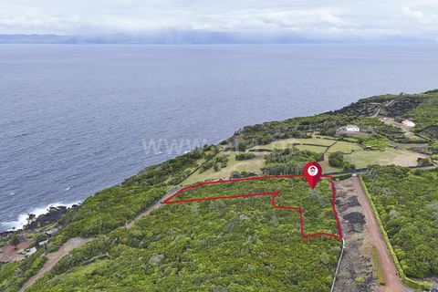 Tomt i Sao Roque do Pico, Pico, Sao Roque do Pico - € 100 000 | Ref: 374260147 - foto 5