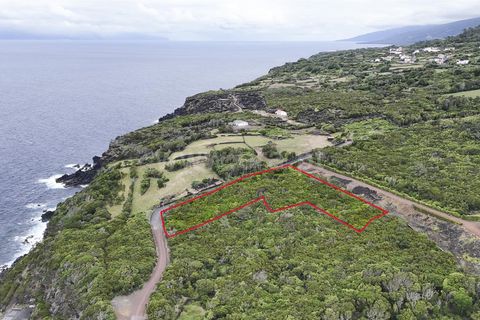 Tomt i Sao Roque do Pico, Pico, Sao Roque do Pico - € 100 000 | Ref: 374260147 - foto 6