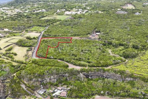 Tomt i Sao Roque do Pico, Pico, Sao Roque do Pico - € 100 000 | Ref: 374260147 - foto 9