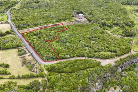 Tomt i Sao Roque do Pico, Pico, Sao Roque do Pico - € 100 000 | Ref: 374260147 - foto 10