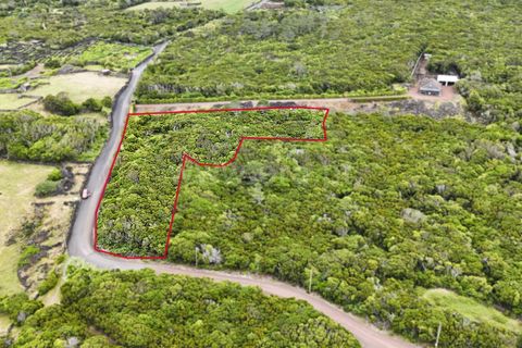 Tomt i Sao Roque do Pico, Pico, Sao Roque do Pico - € 100 000 | Ref: 374260147 - foto 13