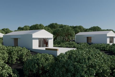 Tomt i Sao Roque do Pico, Pico, Sao Roque do Pico - € 100 000 | Ref: 374260147 - foto 17