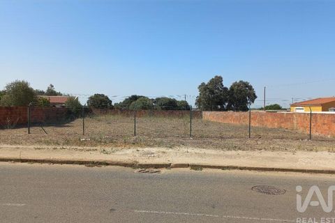 Terra a Sousel, Portalegre, Sousel - € 30.000 | Ref: 963461 - foto 2