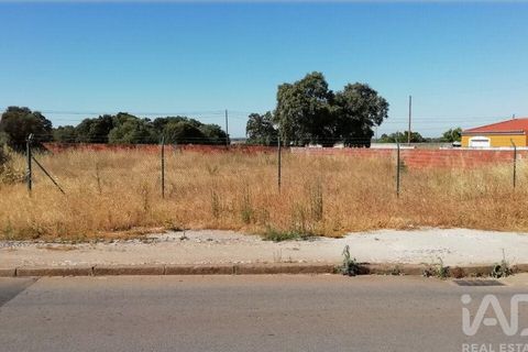 Terra a Sousel, Portalegre, Sousel - € 30.000 | Ref: 963461 - foto 3