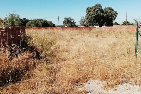 Terra a Sousel, Portalegre, Sousel - € 30.000 | Ref: 963461 - foto 4