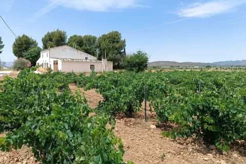 Masia a Yecla, Murcia, Yecla - € 195.000 | Ref: 41086-PB - foto 2