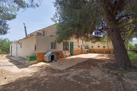Masia a Yecla, Murcia, Yecla - € 195.000 | Ref: 41086-PB - foto 4