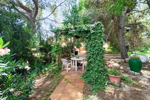 Masia a Yecla, Murcia, Yecla - € 195.000 | Ref: 41086-PB - foto 5