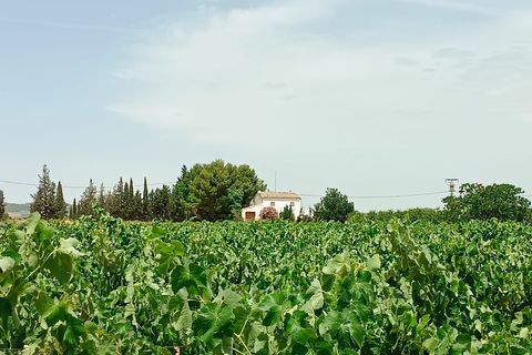 Masia a Yecla, Murcia, Yecla - € 195.000 | Ref: 41086-PB - foto 20