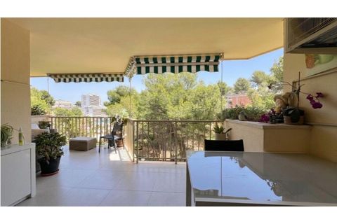 Leilighet i Cala Vinyes, Mallorca, Cala Vinyes - € 650 000 | Ref: 7873 - foto 5