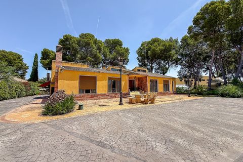 Villa em Yecla, Murcia, Yecla - € 699.000 | Ref: SB22003 - foto 5