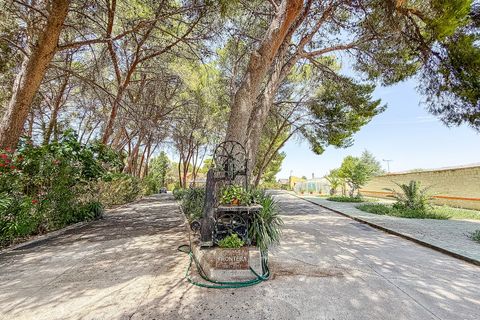 Villa em Yecla, Murcia, Yecla - € 699.000 | Ref: SB22003 - foto 9