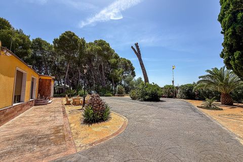 Villa em Yecla, Murcia, Yecla - € 699.000 | Ref: SB22003 - foto 10