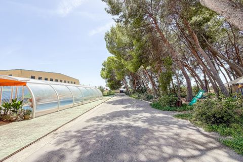 Villa em Yecla, Murcia, Yecla - € 699.000 | Ref: SB22003 - foto 19