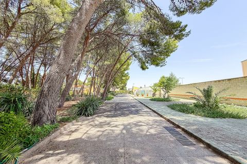 Villa em Yecla, Murcia, Yecla - € 699.000 | Ref: SB22003 - foto 20