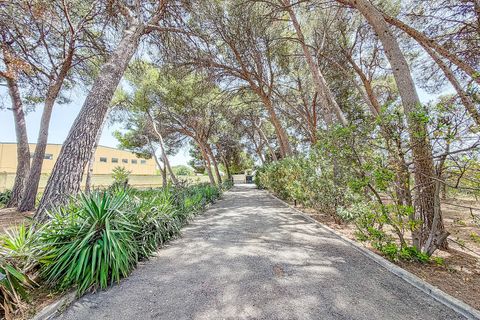 Villa em Yecla, Murcia, Yecla - € 699.000 | Ref: SB22003 - foto 48