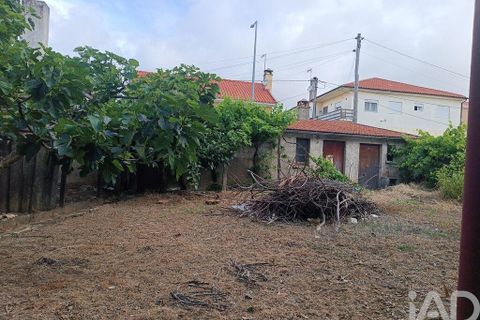 Byhus i Mogadouro, Braganca, Mogadouro - € 140.000 | Ref: 943936 - foto 10
