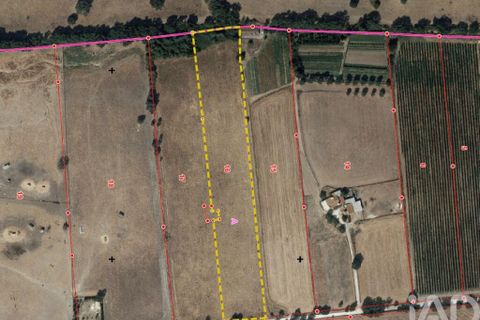 Grond in Estremoz, Evora, Estremoz - € 30.000 | Ref: 963462 - foto 1