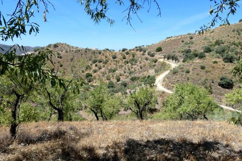 Herregård i Sedella, Malaga, Sedella - € 355 000 | Ref: XL4732 - foto 18