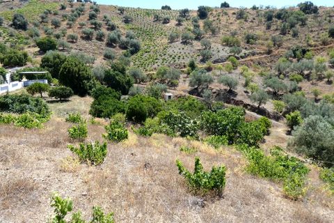 Herregård i Sedella, Malaga, Sedella - € 355 000 | Ref: XL4732 - foto 19