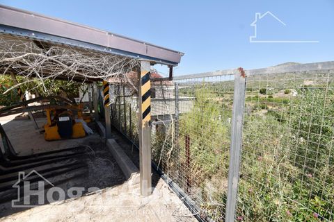 Villa i Carlet, Valencia, Carlet - € 125 000 | Ref: PS075CAF125.FV/3716 - foto 39