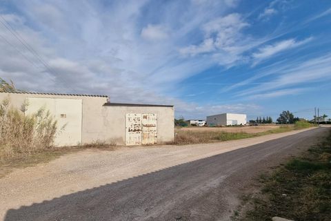 Helårsgrund i Sant Jaume D'enveja, Tarragona, Sant Jaume D'enveja - € 52.500 | Ref: EXP14945/8930 - foto 6