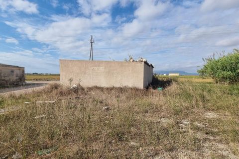 Helårsgrund i Sant Jaume D'enveja, Tarragona, Sant Jaume D'enveja - € 52.500 | Ref: EXP14945/8930 - foto 7