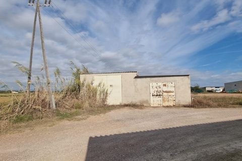 Helårsgrund i Sant Jaume D'enveja, Tarragona, Sant Jaume D'enveja - € 52.500 | Ref: EXP14945/8930 - foto 8