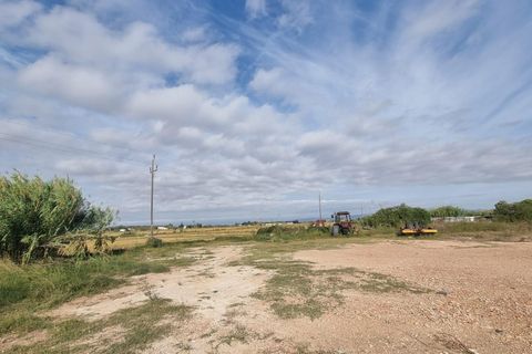Helårsgrund i Sant Jaume D'enveja, Tarragona, Sant Jaume D'enveja - € 52.500 | Ref: EXP14945/8930 - foto 13