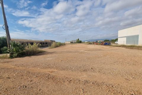 Helårsgrund i Sant Jaume D'enveja, Tarragona, Sant Jaume D'enveja - € 52.500 | Ref: EXP14945/8930 - foto 15
