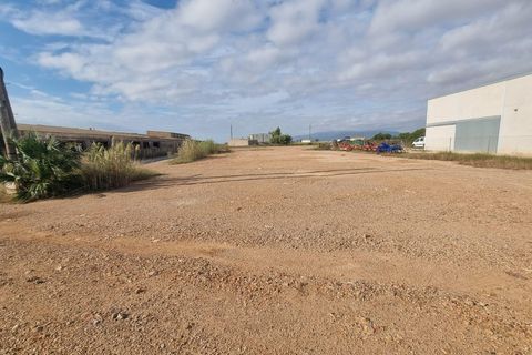 Helårsgrund i Sant Jaume D'enveja, Tarragona, Sant Jaume D'enveja - € 52.500 | Ref: EXP14945/8930 - foto 17