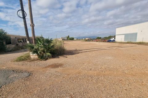 Helårsgrund i Sant Jaume D'enveja, Tarragona, Sant Jaume D'enveja - € 52.500 | Ref: EXP14945/8930 - foto 18