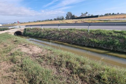 Helårsgrund i Sant Jaume D'enveja, Tarragona, Sant Jaume D'enveja - € 52.500 | Ref: EXP14945/8930 - foto 20