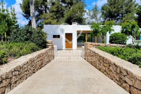 Villa in Santa Gertrudis De Fruitera, Ibiza - foto 4