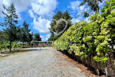 Villa in Santa Gertrudis De Fruitera, Ibiza - foto 5