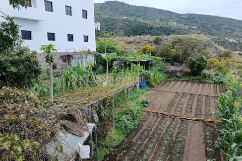 Casa di città Icod, Tenerife - foto 2