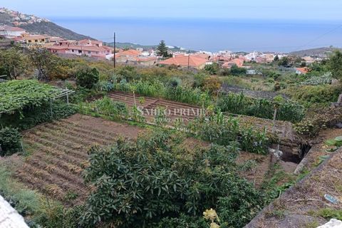 Casa di città Icod, Tenerife - foto 4