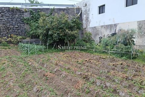 Stadthaus in Icod, Tenerife, Icod - € 630.000 | Ref: 6502 - Foto 22