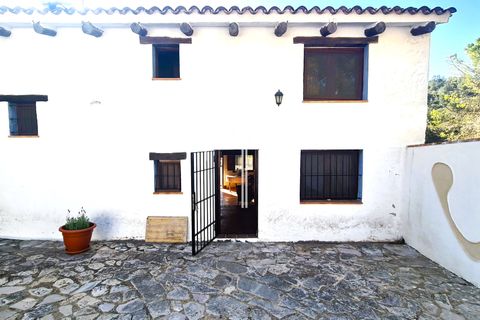 Landejendom i Enguera, Valencia, Enguera - € 1.450.000 | Ref: EnV111 - foto 39