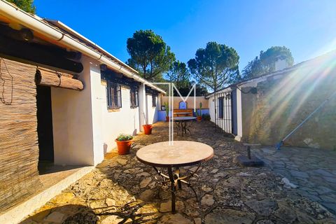 Landejendom i Enguera, Valencia, Enguera - € 1.450.000 | Ref: EnV111 - foto 40