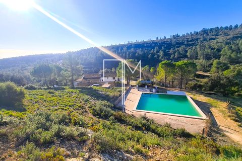 Landejendom i Enguera, Valencia, Enguera - € 1.450.000 | Ref: EnV111 - foto 7