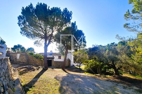 Landejendom i Enguera, Valencia, Enguera - € 1.450.000 | Ref: EnV111 - foto 6