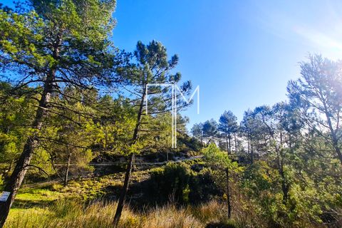 Landejendom i Enguera, Valencia, Enguera - € 1.450.000 | Ref: EnV111 - foto 50