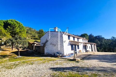 Landejendom i Enguera, Valencia, Enguera - € 1.450.000 | Ref: EnV111 - foto 43